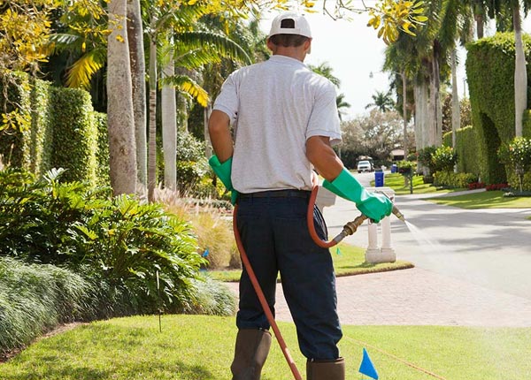 About Algonquin IL Pest Control